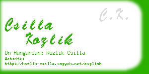 csilla kozlik business card